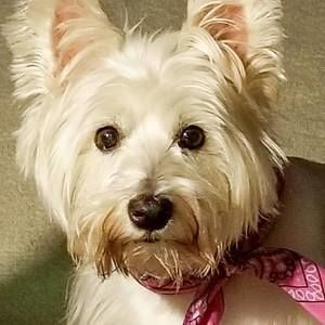 Meet your Posher, Maggie